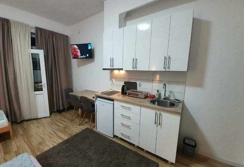 پانسیون Studio Vik