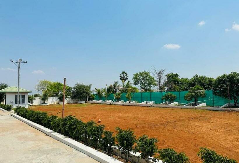 منتجع The Mountain View