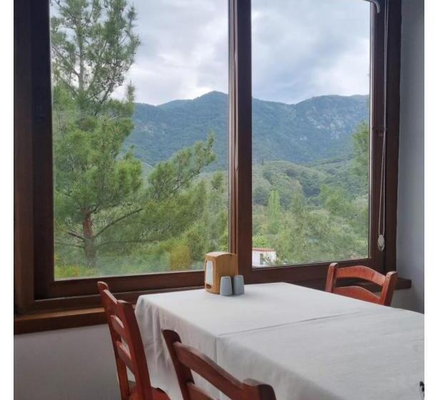 Sarı Konak Butik Otel