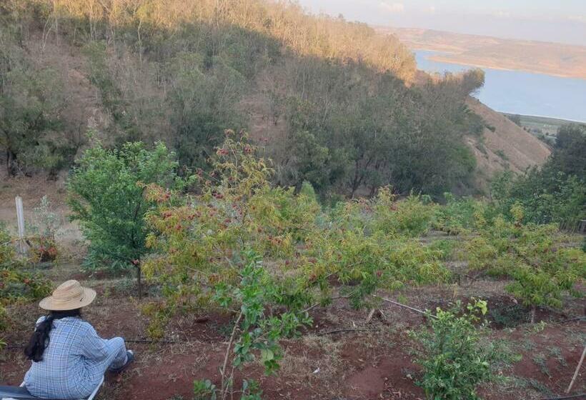 Отель Lac Du Barrage Sidi Med Ben Abdellah