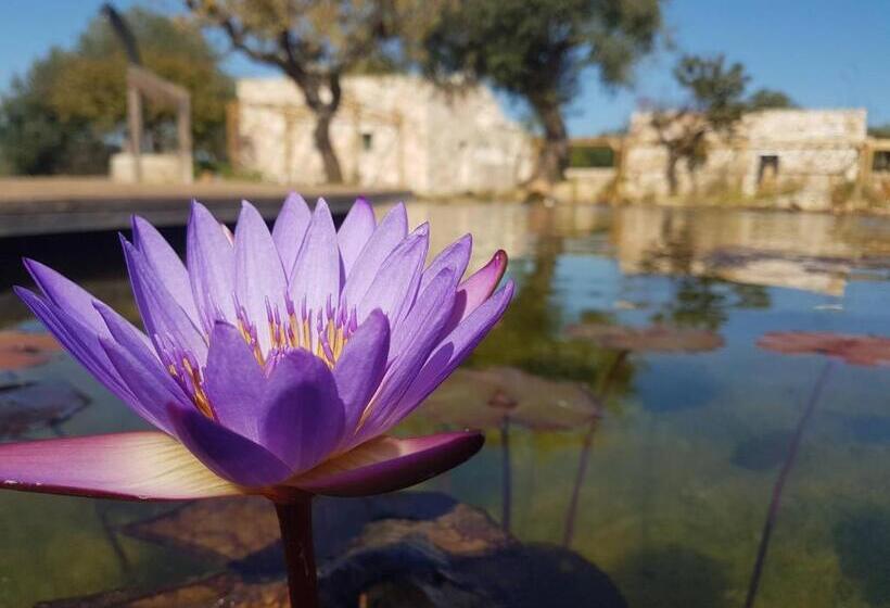 پانسیون Il Fiore Della Vita Trulli Country House