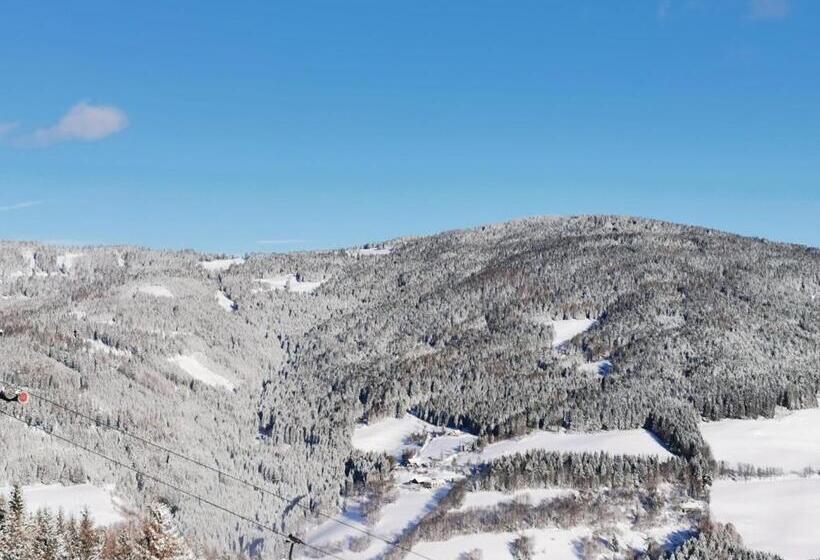 호스텔 Alpengasthof Fernblick