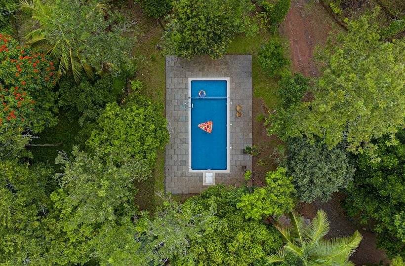 酒店 Misty Heights By The Sanihara