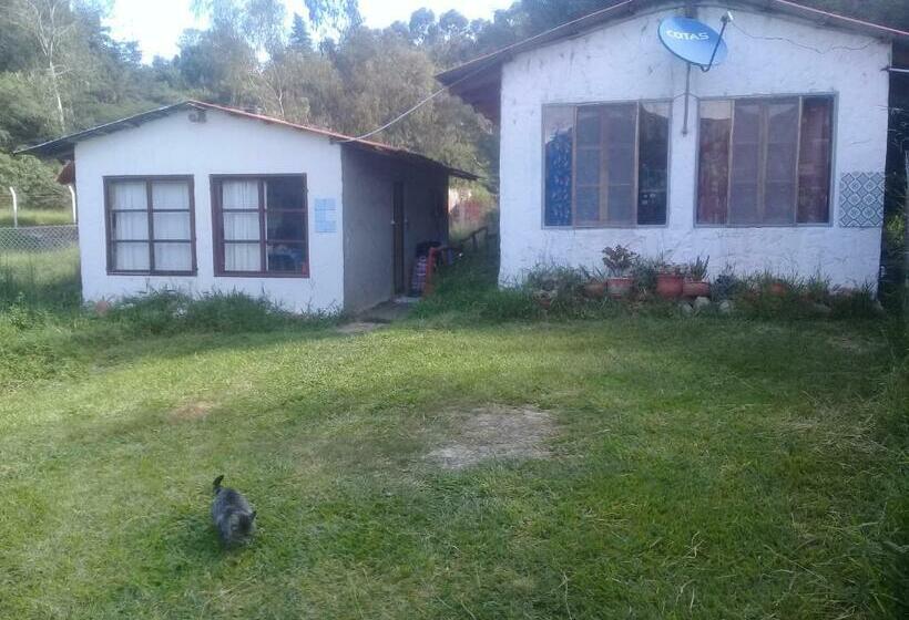 هاستل Los Aventureros