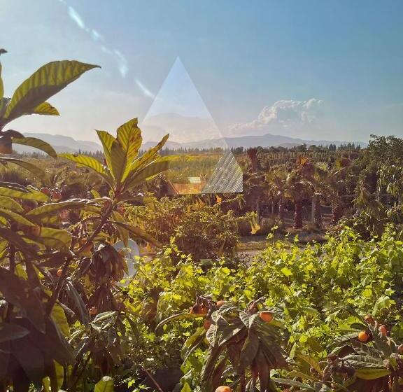 تختخواب و صبحانه El Ya Bungalov Ve Pansiyon