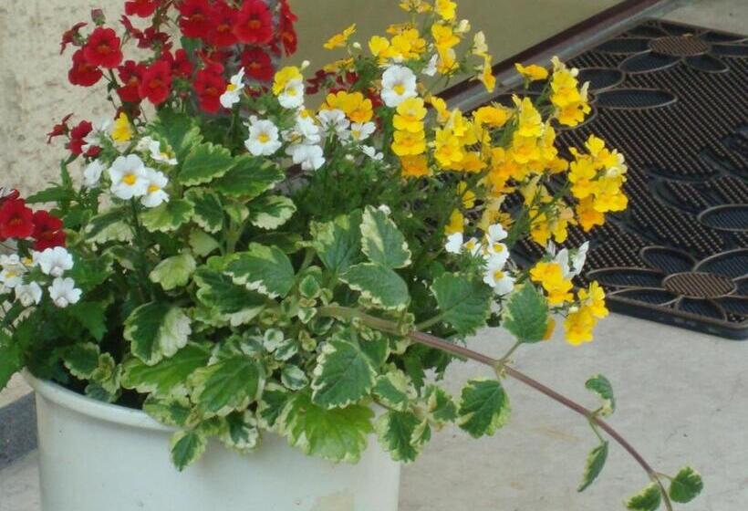 בית מלון כפרי Gartenhof