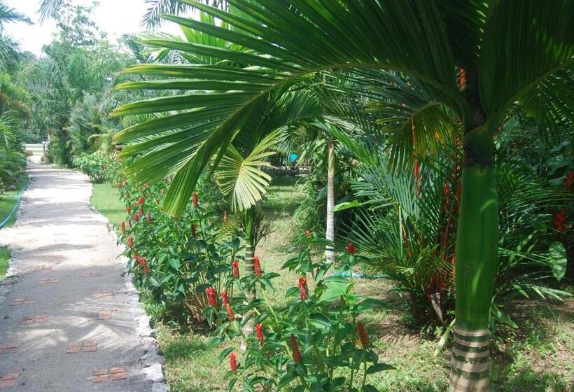 فندق Khaosok And Spa