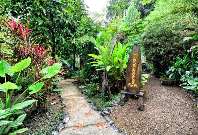 فندق Khaosok And Spa