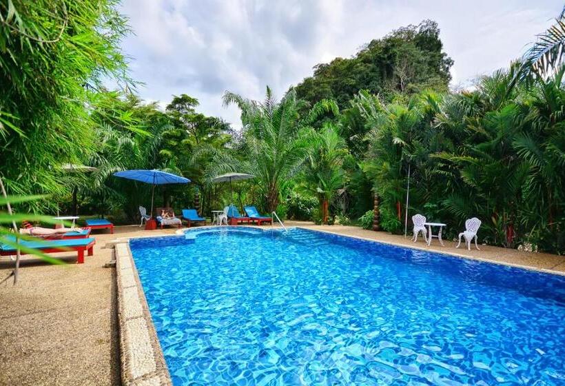 فندق Khaosok And Spa