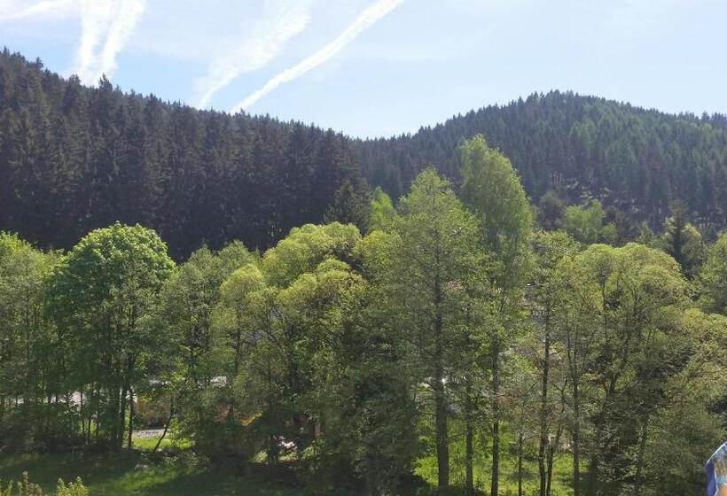 هتل Pension Dressel