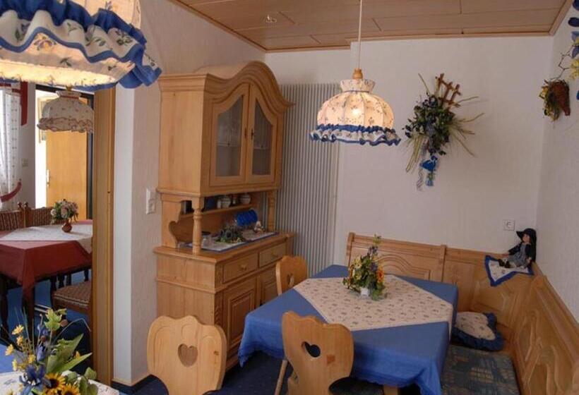هتل Pension Haus Wanninger