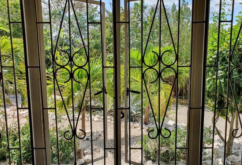 Abaai Resort B&b