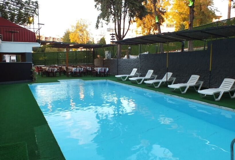 Avalon Otel