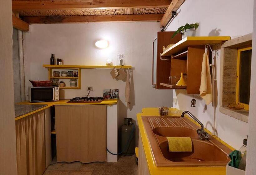 پانسیون Nunnu Pati Apartment