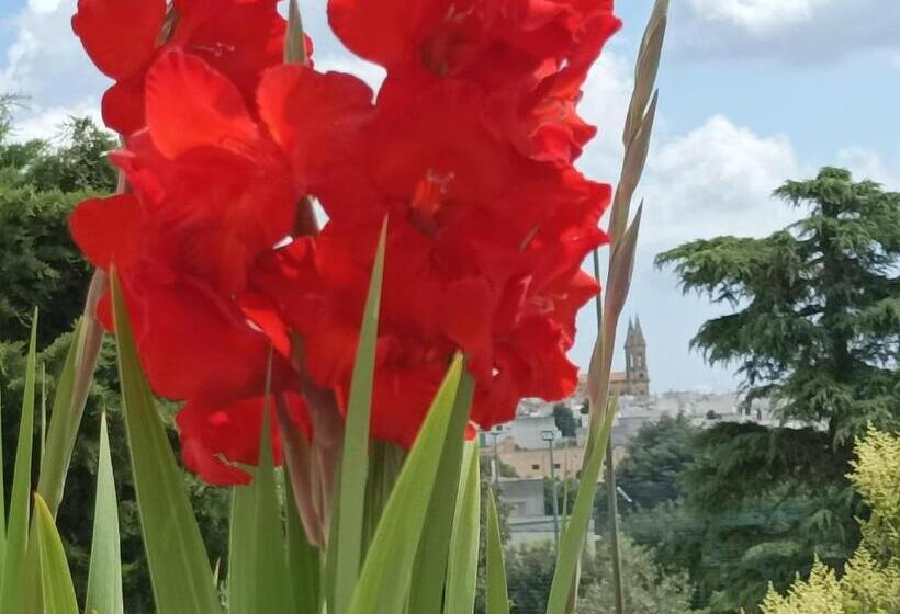 Bed and Breakfast Sognando Alberobello