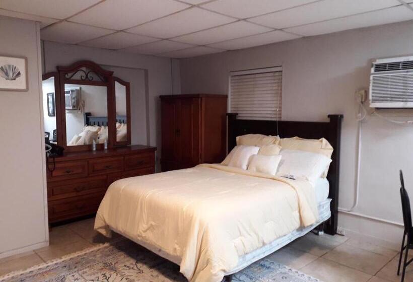 پانسیون Roomy Comfortable Suite