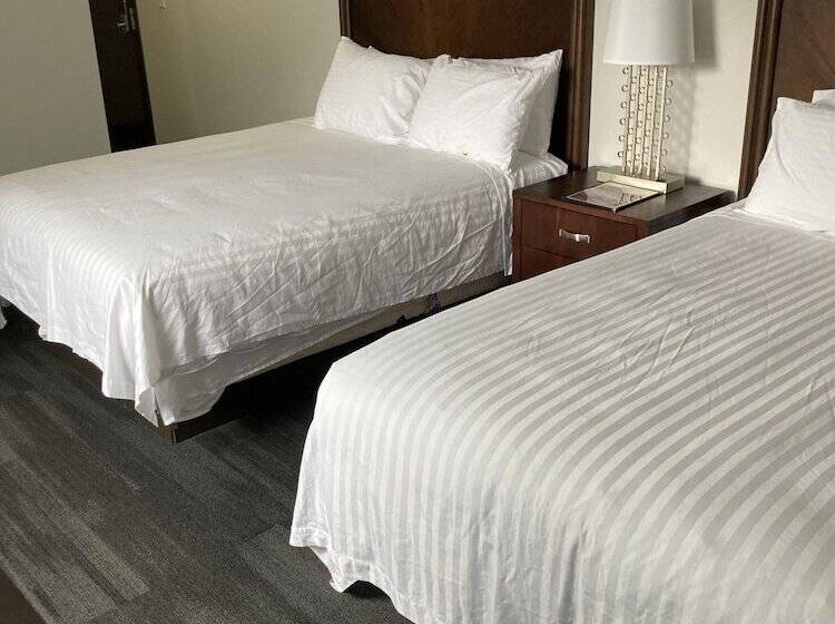 ホテル Elker Inn & Suites