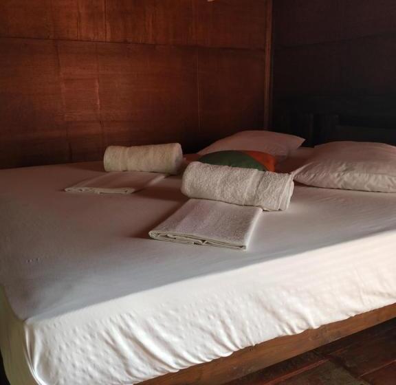 Общежитие Rainforest View Hostal And Rainforest Tours