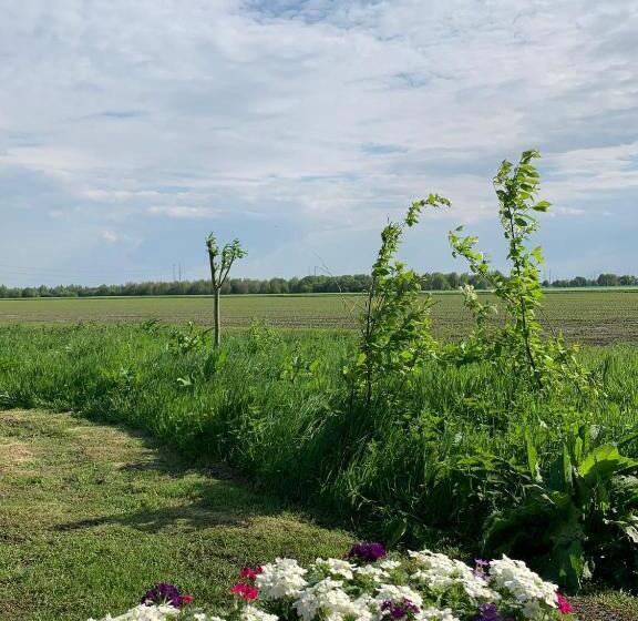צימר Fields 1216