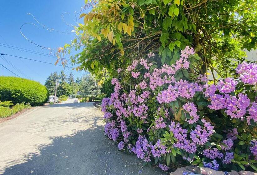 פנסיון The Rhodo Place
