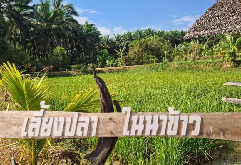 אתר נופש Phonphusang Utopia Farmstay