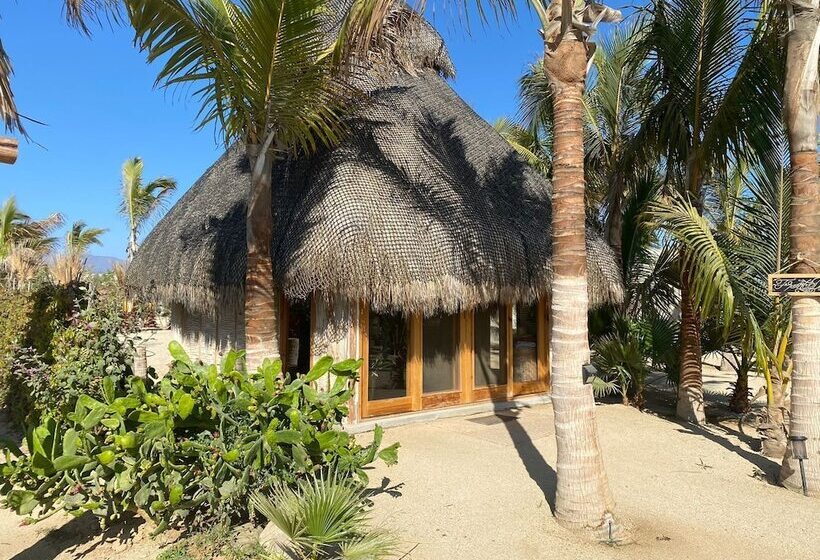 Baja Nomads Hotel   Adults 15 Plus