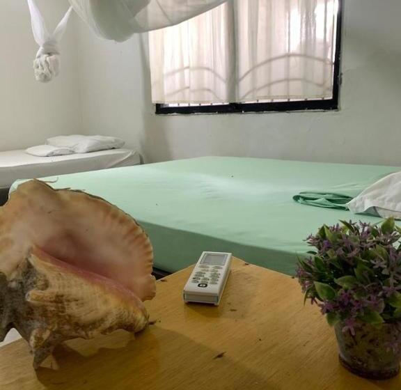 Taida Experiences Hostel