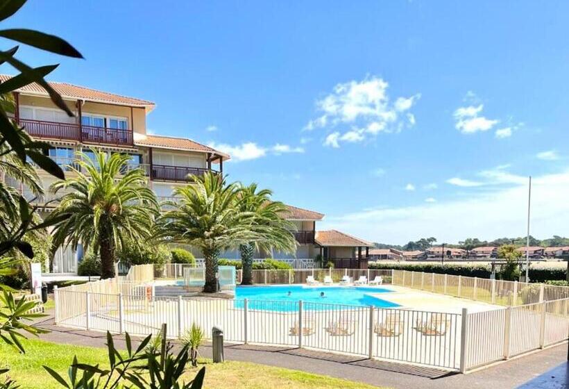 Résidence Le Boucanier   2 Pièces Pour 6 Personnes 924