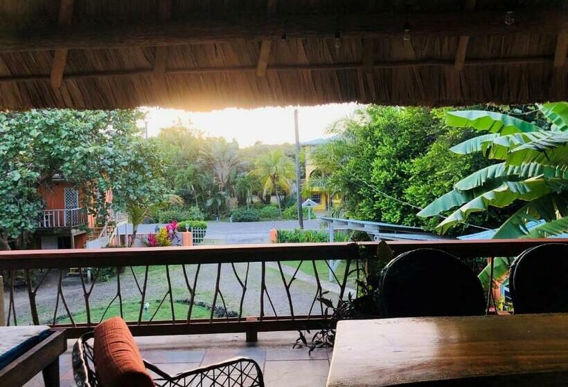 호스텔 Coral Cove Inn