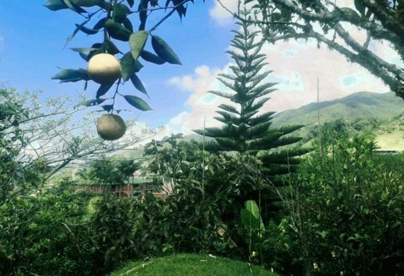 Hostel Hospedaje La Diana