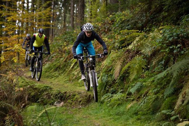 Отель Baren Titisee