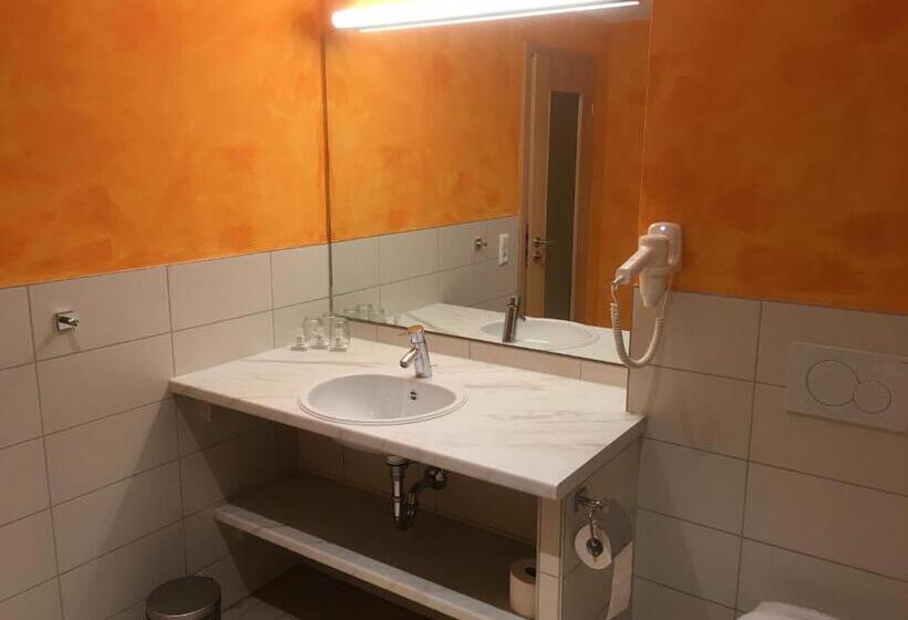 酒店 Gasthaus Storchen