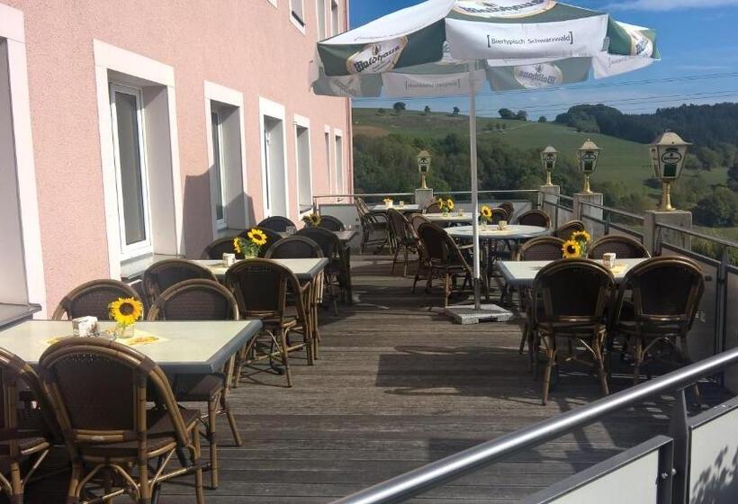 酒店 Gasthaus Storchen