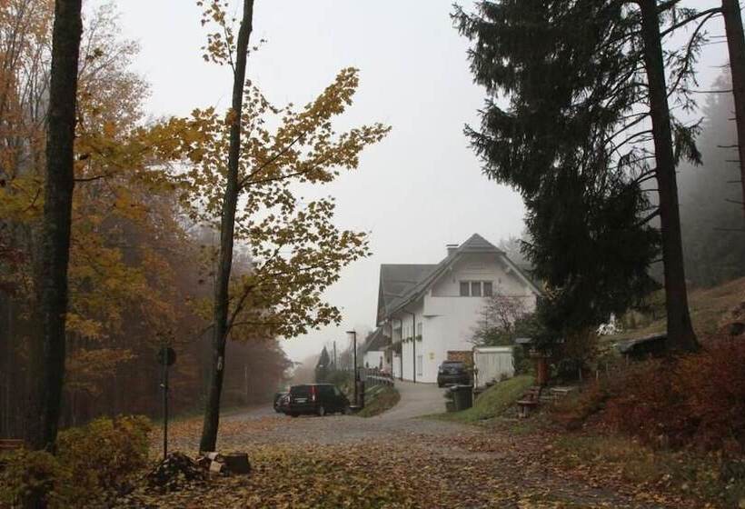 هتل Pension Walddorf