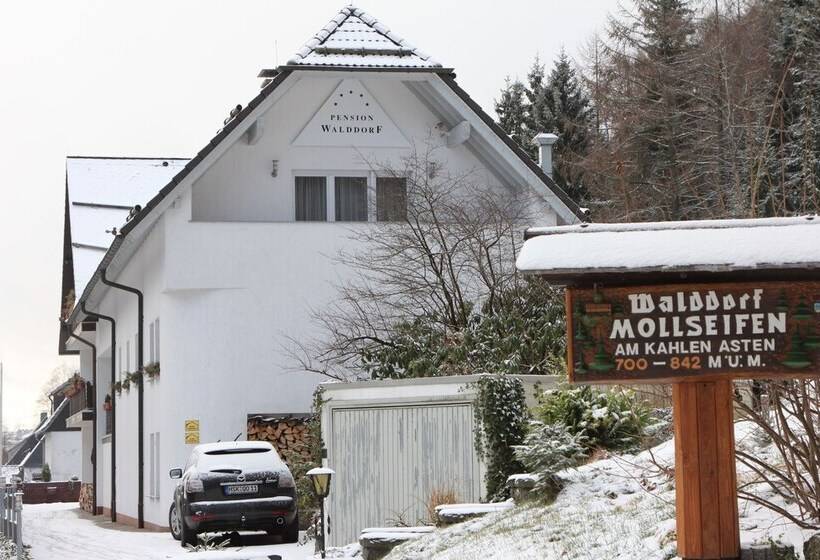 هتل Pension Walddorf