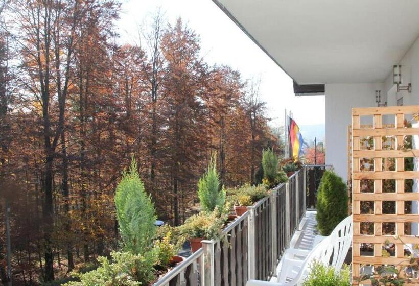 هتل Pension Walddorf