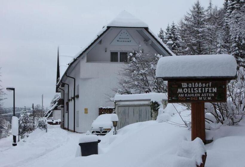 هتل Pension Walddorf