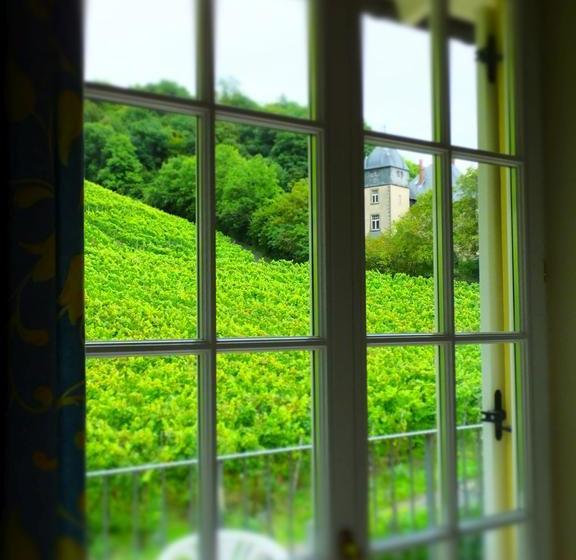 Weingut Und Hotel Haus Am Drachenloch