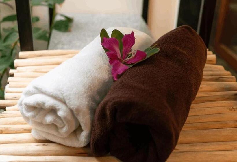 渡假胜地  Orchid Tree Wellness Retreat