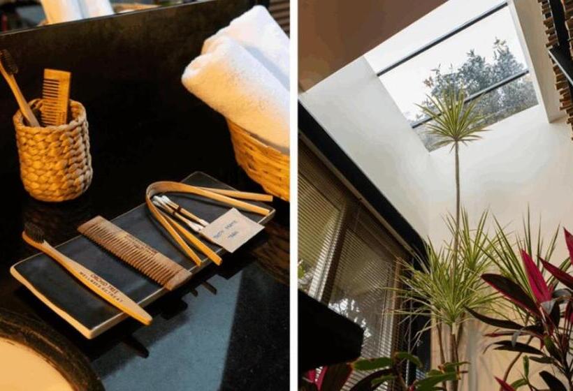 渡假胜地  Orchid Tree Wellness Retreat