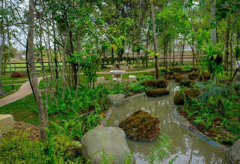 住宿加早餐  Khwaithai Resort & Homestay   ควายไทย