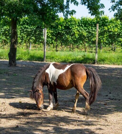 צימר Ranch Borgo Bella Vita