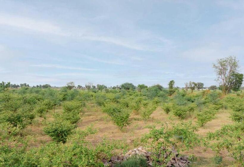 فندق Stayvista S Gaudhuli Farmstay   Outdoor Pool & Terrace With View