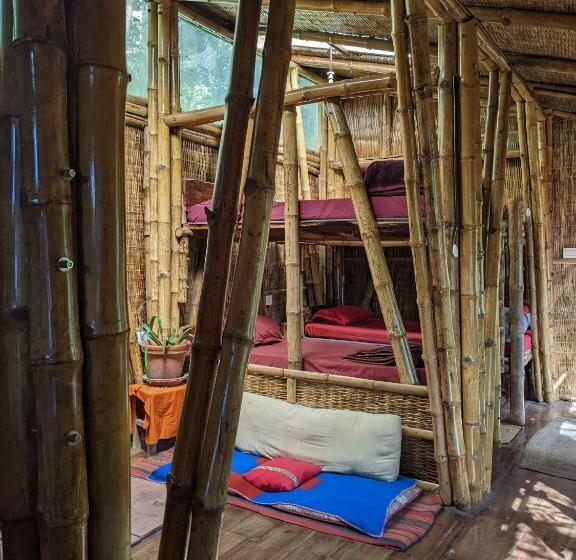 旅馆 Tieedi Forest Dwelling