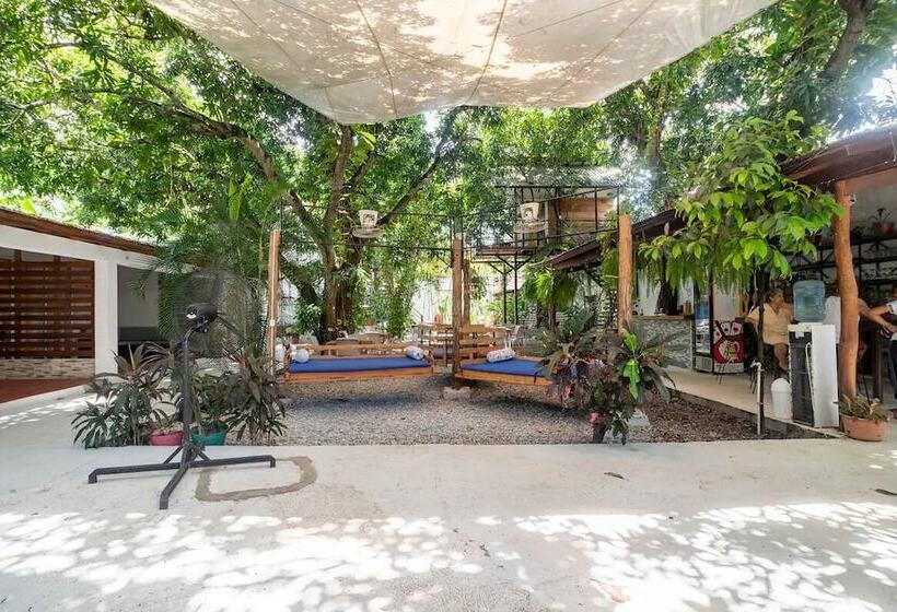 هتل La Casona De Sara