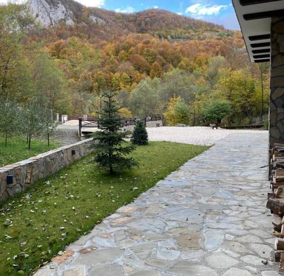 Pensiunea Buna Ziua