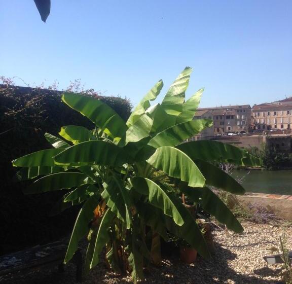 تختخواب و صبحانه Comfort And Fab Views