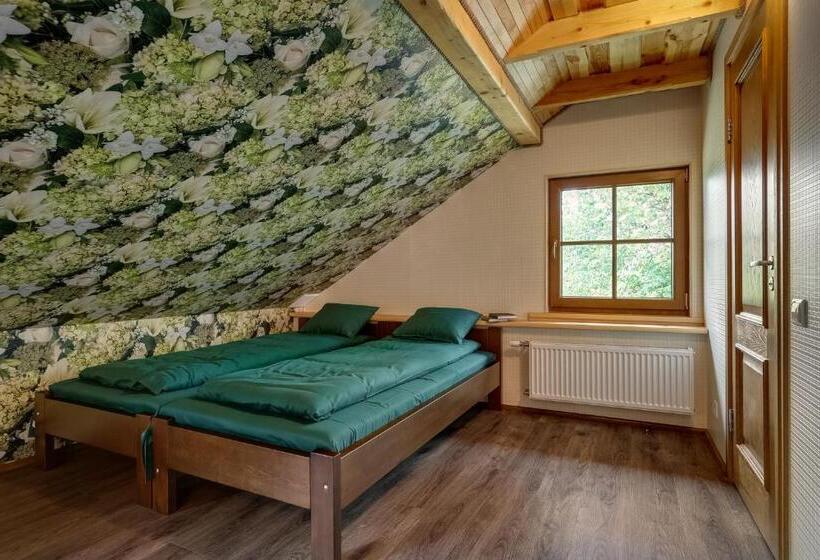پانسیون Paegli Guest House