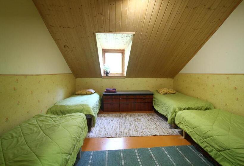 پانسیون Naissaare Guesthouse Külalistemaja