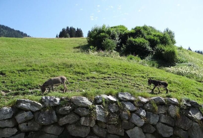 فندق Hôtel Les Bernards